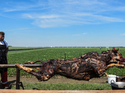 BASF Dan polja u Pančevu