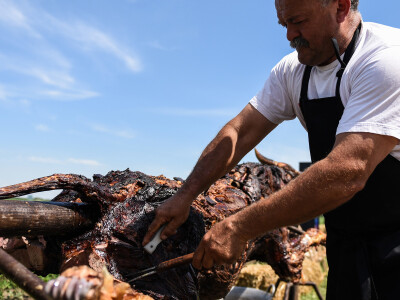 BASF Dan polja u Pančevu