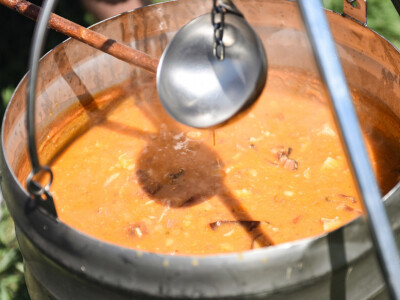 BASF Dan polja u Pančevu