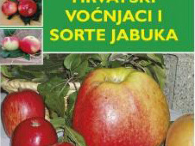 Prof. Ivan Bašić (posthumno)