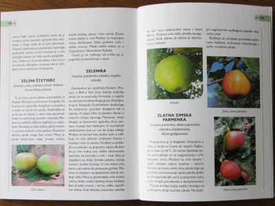 Prof. Ivan Bašić (posthumno)