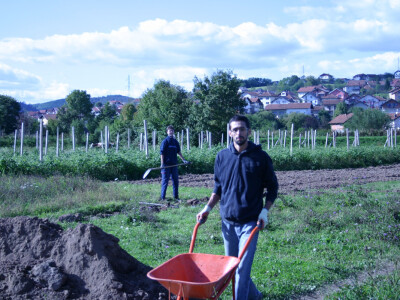 Željeli su zdravo povrće - danas ga sami sade Željeli su zdravo povrće - danas ga sami sade