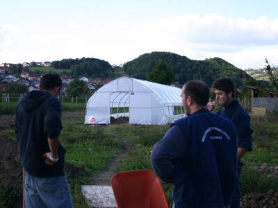 Željeli su zdravo povrće - danas ga sami sade Željeli su zdravo povrće - danas ga sami sade