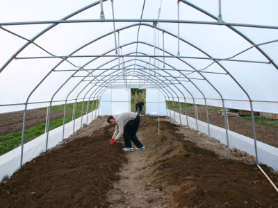 Željeli su zdravo povrće - danas ga sami sade Željeli su zdravo povrće - danas ga sami sade