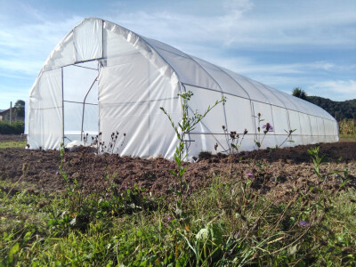 Željeli su zdravo povrće - danas ga sami sade Željeli su zdravo povrće - danas ga sami sade