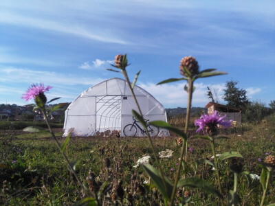Željeli su zdravo povrće - danas ga sami sade Željeli su zdravo povrće - danas ga sami sade