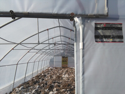 Željeli su zdravo povrće - danas ga sami sade Željeli su zdravo povrće - danas ga sami sade