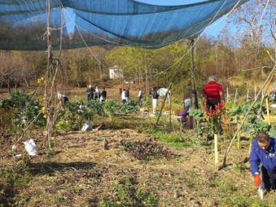 Baštalište u Slancima