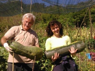 Baštalište u Slancima