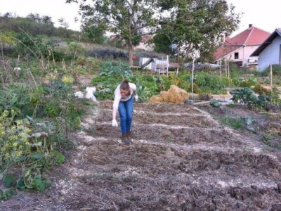 Baštalište u Slancima