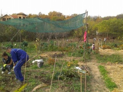 Baštalište u Slancima