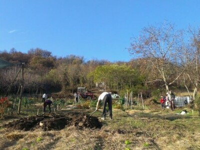 Baštalište u Slancima
