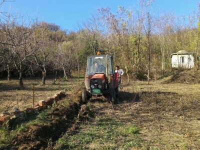 Baštalište u Slancima