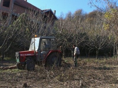 Baštalište u Slancima