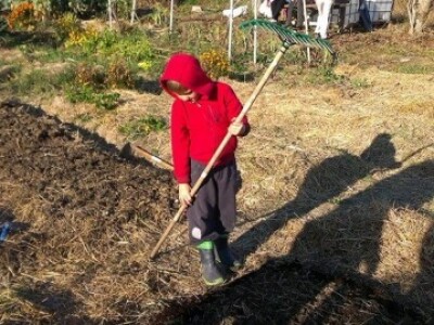 Baštalište u Slancima