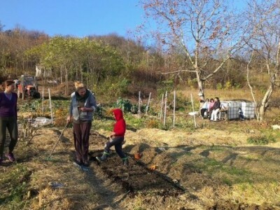 Baštalište u Slancima