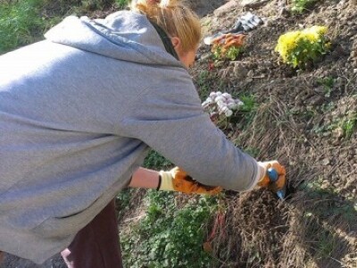 Baštalište u Slancima