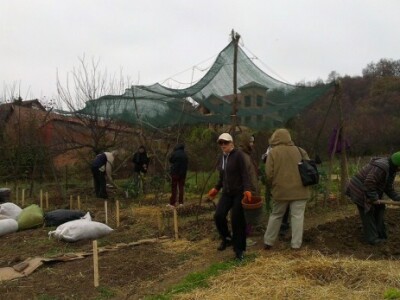 Baštalište u Slancima