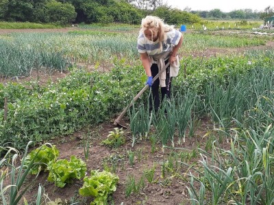 Bašte pored stambenih zgrada