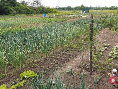 Bašte pored stambenih zgrada