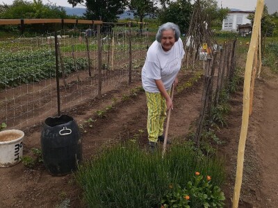 Bašte pored stambenih zgrada