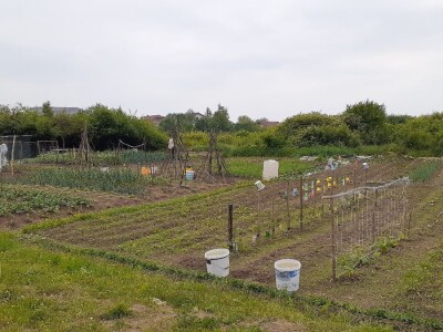 Bašte pored stambenih zgrada