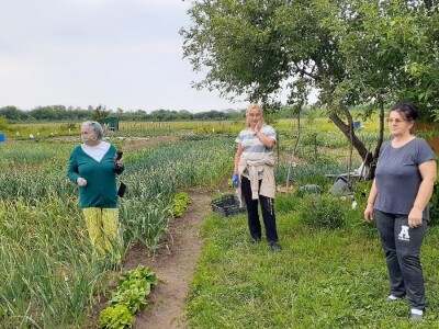 Bašte pored stambenih zgrada
