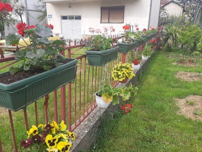 Baštensko i cveće za terase