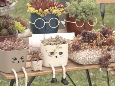 Baštensko i cveće za terase