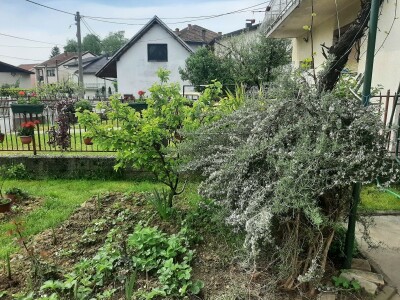 Baštensko i cveće za terase