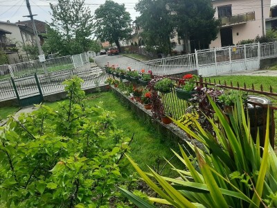 Baštensko i cveće za terase