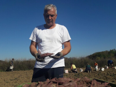 Zlatko Burić Zlatko Burić