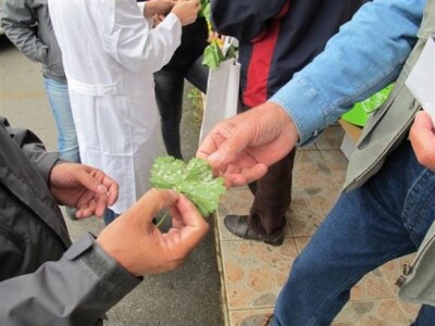 Bayer Agro Dani u Agro Sim d.o.o.