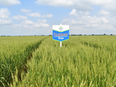 Bayer AGROFEST 2023.