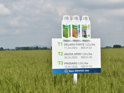 Bayer AGROFEST 2023.