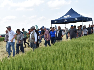 Bayer AGROFEST 2023.