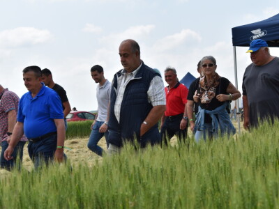 Bayer AGROFEST 2023.