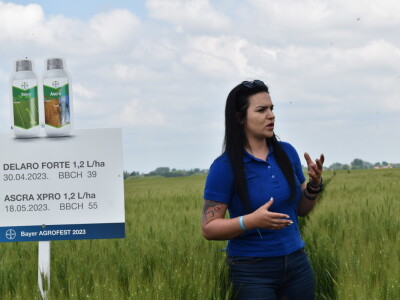 Bayer AGROFEST 2023.