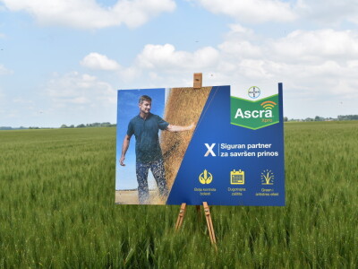 Bayer AGROFEST 2023.