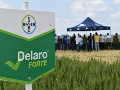 Bayer AGROFEST 2023.