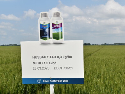 Bayer AGROFEST 2023.