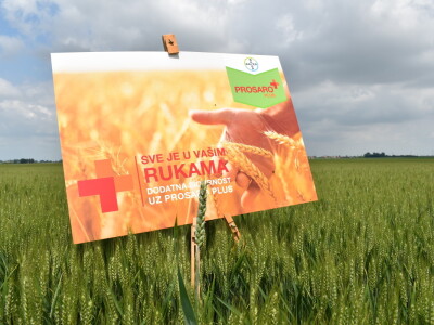 Bayer AGROFEST 2023.