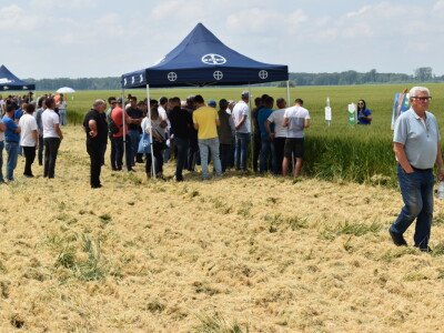 Bayer AGROFEST 2023.