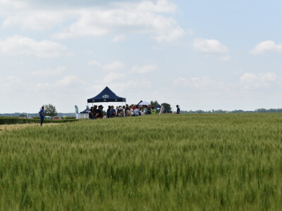 Bayer AGROFEST 2023.