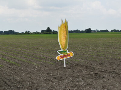 Bayer AGROFEST 2023.