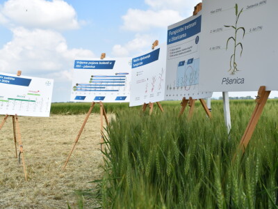 Bayer AGROFEST 2023.