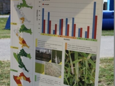 Bayer AgroFEST 2015.