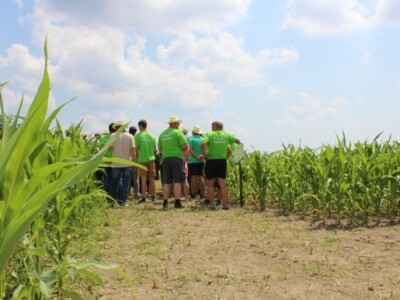 Bayer AgroFEST 2015.