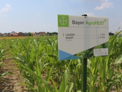 Bayer AgroFEST 2015.