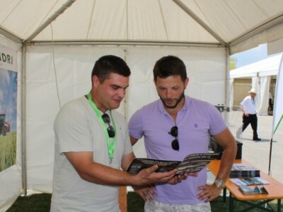 Nikola i Tomislav u pregovorima!